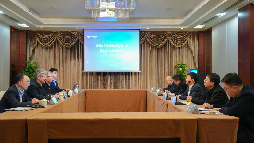 双良集团马培林总裁一行莅临PA直营光伏考察交流