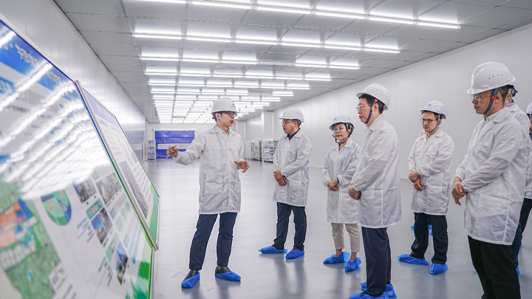 眉山市委副书记、市长黄河一行莅临PA直营光伏调研