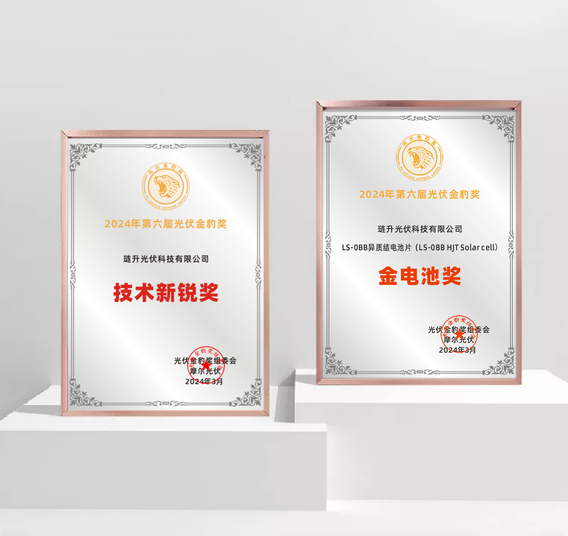 捷报!PA直营光伏科技斩获“金豹奖”两项大奖