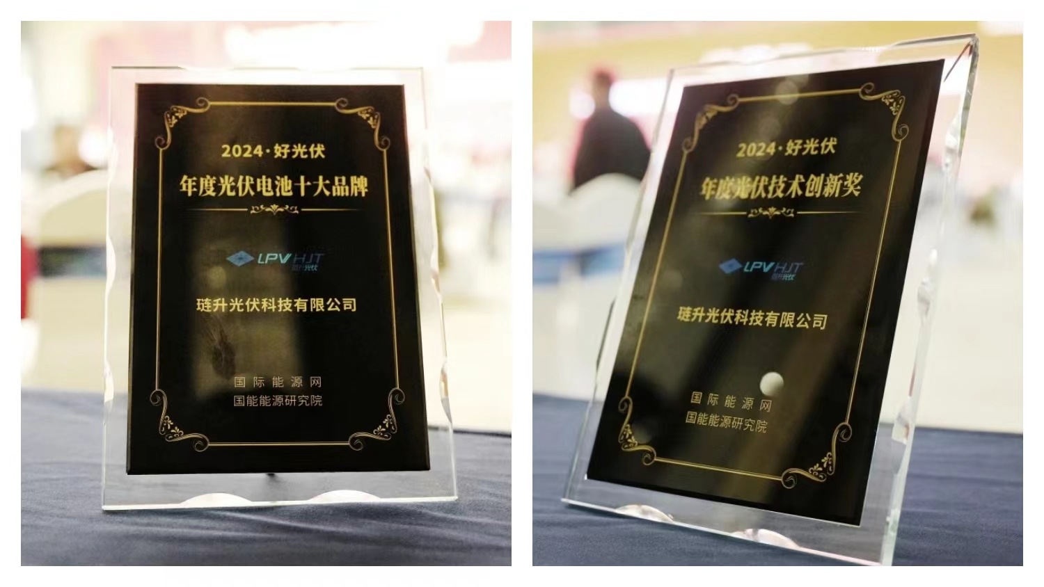 喜报来袭 | PA直营光伏 荣获2024 · 好光伏“年度光伏电池十大品牌”和“年度光伏技术创新奖”