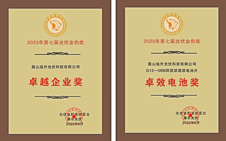 PA直营光伏斩获2025年金豹奖双项殊荣