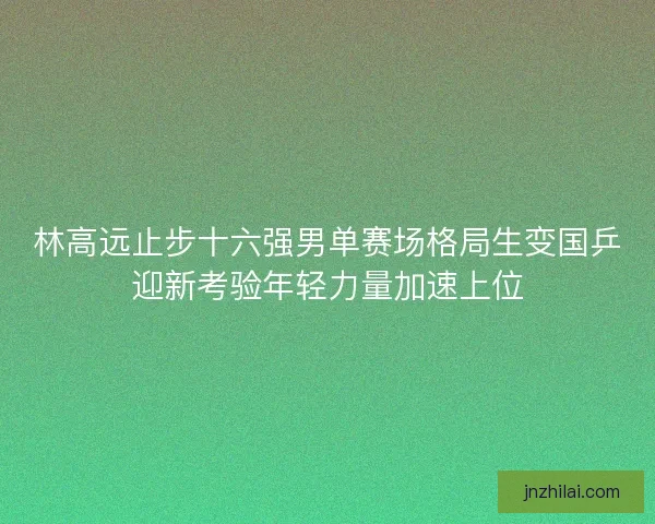 林高远止步十六强男单赛场格局生变国乒迎新考验年轻力量加速上位