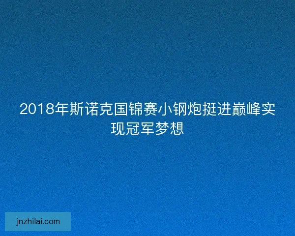 2018年斯诺克国锦赛小钢炮挺进巅峰实现冠军梦想